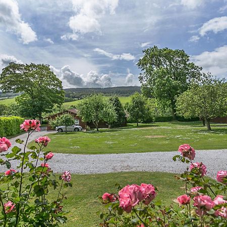 Laburnum Lodge Sleeps 6 Wheelchair Access Minehead Luaran gambar