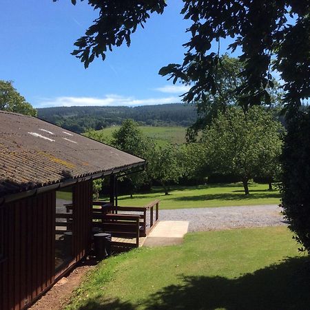 Laburnum Lodge Sleeps 6 Wheelchair Access Minehead Luaran gambar